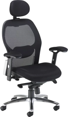 TC Ergo Lite 100 Ergonomic Chair