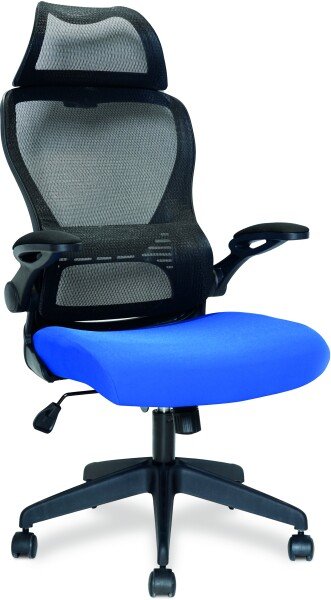 Nautilus Canis High Back Mesh Chair with Folding Arms - Blue