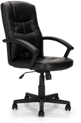 Nautilus Darwin High Back Faux Leather Executive Armchair - Integral Headrest