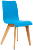 Blaze-brigt-blue.png