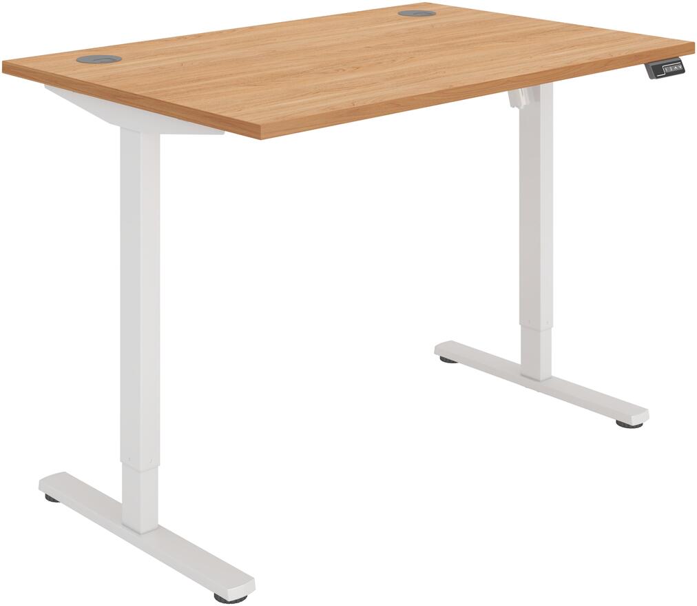 Single Motor Sit-Stand Desk 1200mm