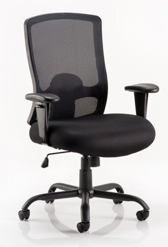 Dynamic Portland Chair Heavy Duty (Weight Capacity 32 Stone) - Black