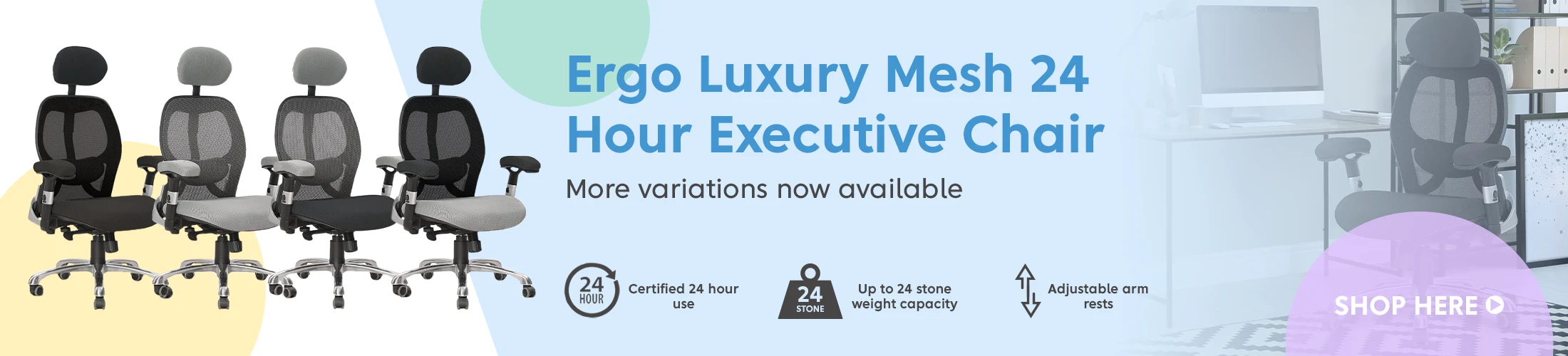 Ergo Luxury Mesh 24 Hour Executive Chair