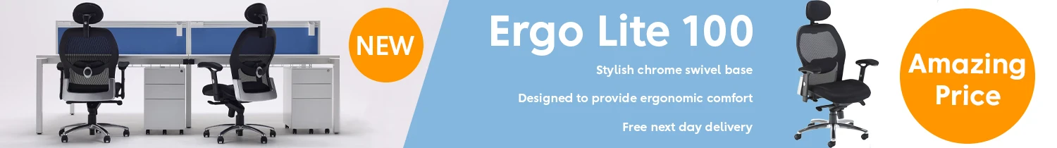 Great Value - Ergo Lite 100 Ergonomic Chair with Headrest