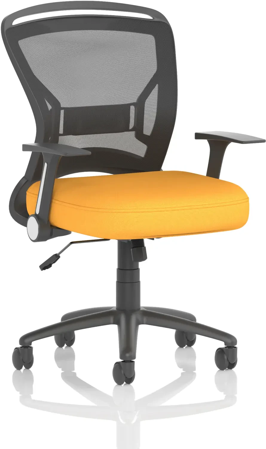 Dynamic Zeus Chair: Stylish, Functional and Great Value for Money