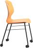 MOVE-MARIGOLD-FRONTSIDE.jpg