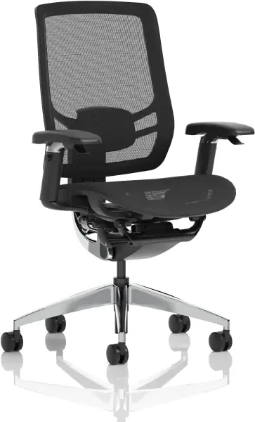 Dynamic Ergo Click Mesh Chair