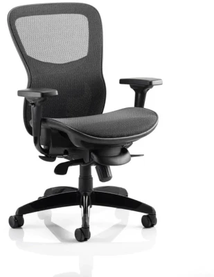 Dynamic Stealth Ergo Posture Chair