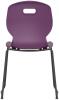SKID-GRAPE-REAR.jpg