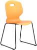 SKID-MARIGOLD-FRONTISO.jpg