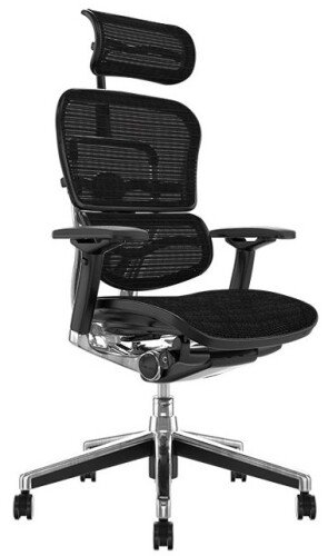 Comfort Ergohuman Plus Elite Mesh Chair with Headrest - Black