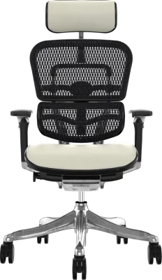 Comfort Ergohuman 2010 Mesh Ergonomic Chair with Headrest