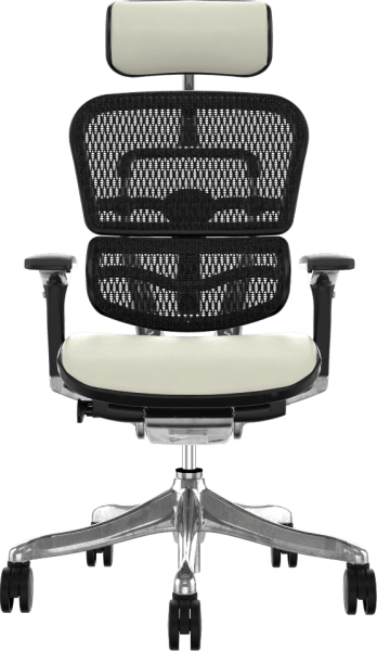 Comfort Ergohuman 2010 Mesh Ergonomic Chair with Headrest - White