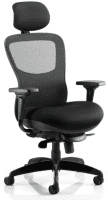Dynamic Stealth Shadow Ergo Posture Airmesh Seat and Mesh Back Chair with Arms & Headrest